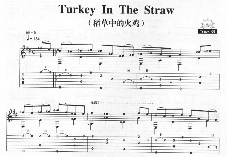 Turkey In The Straw吉他谱子-1