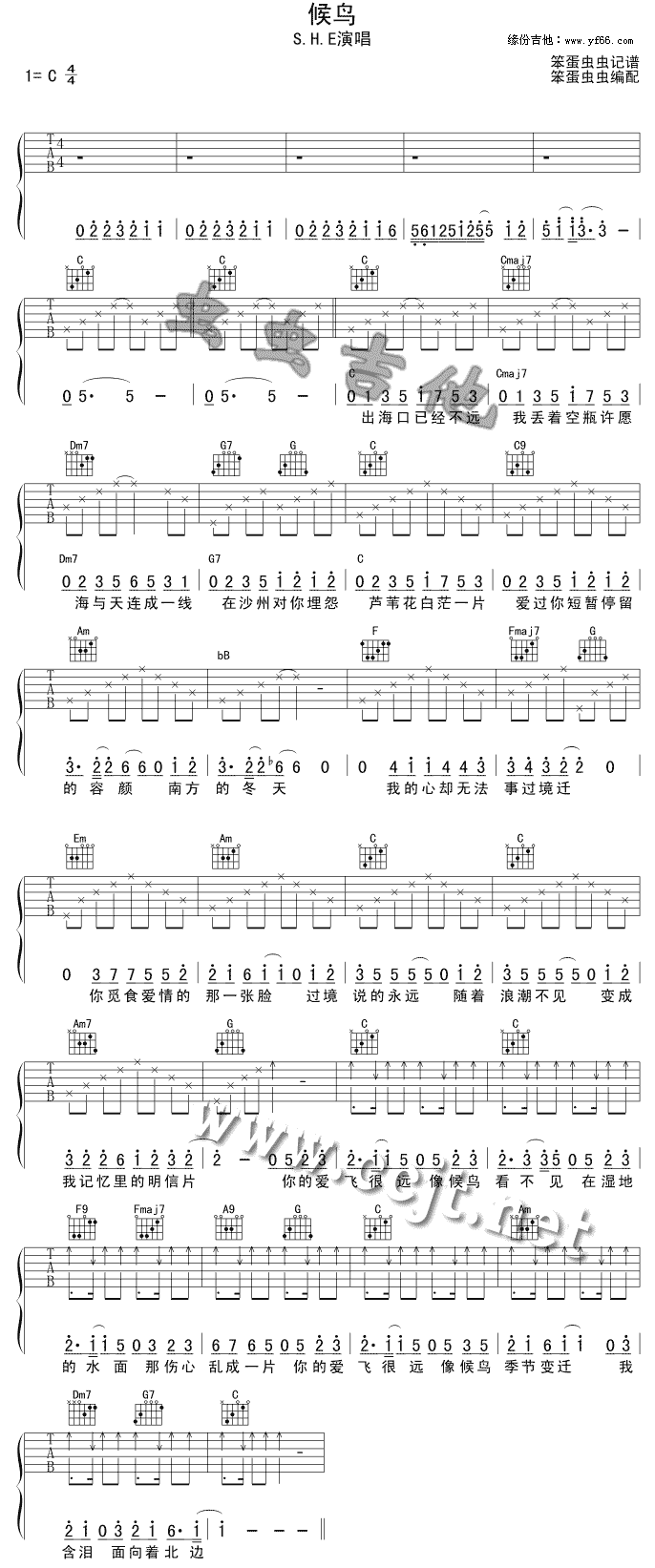 候鸟吉他谱子-1