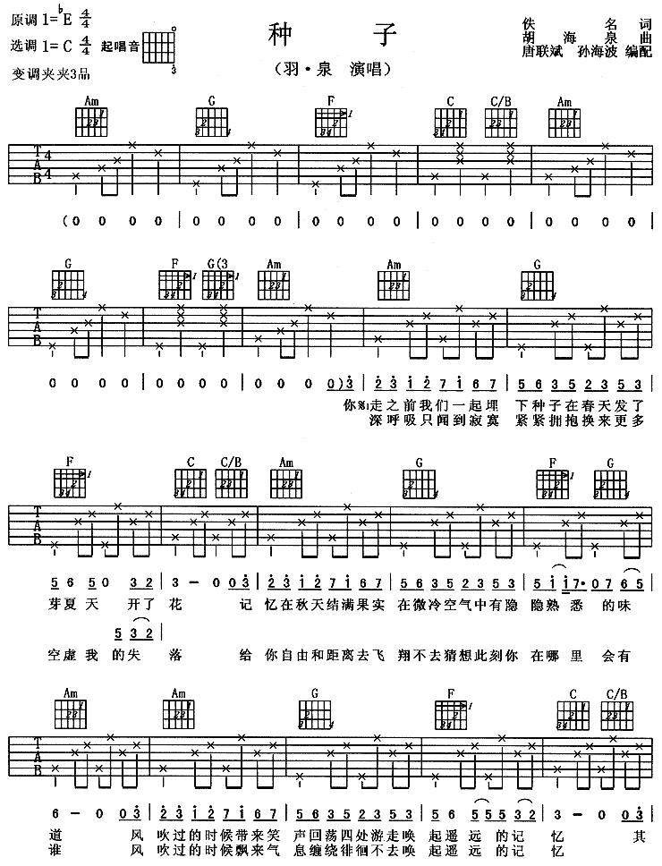 种子吉他谱子-1