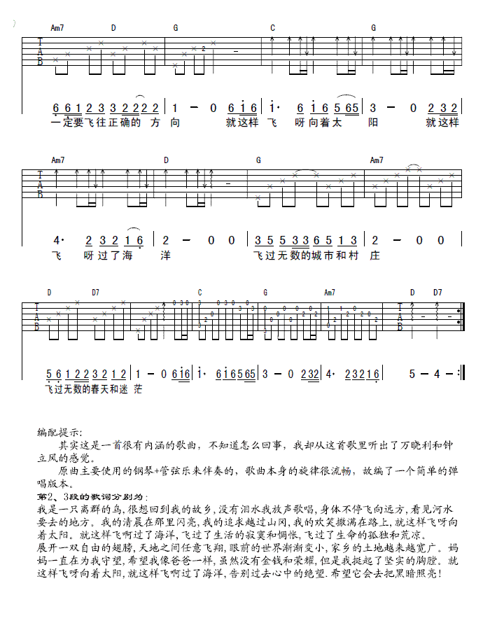 我是一只离群的鸟吉他谱子-2